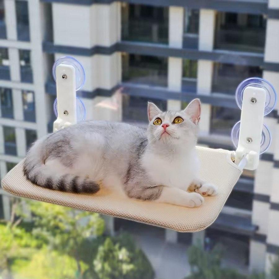 Pour ceux qui nous choisissent — l'univers chat CÂLINE